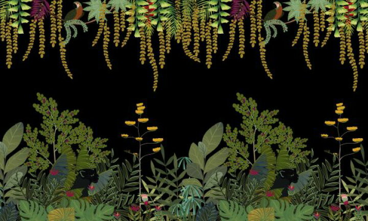 楽天市場 花 植物 オウム 鳥 クロヒョウ イラスト 黒 ブラックの壁紙 輸入 カスタム壁紙 Photowall Tropical Fauna Dark 285 貼ってはがせるフリース壁紙 不織布 海外取り寄せのため1カ月程度でお届け 代引き 後払い不可 壁紙 屋本舗 カベガミヤホンポ
