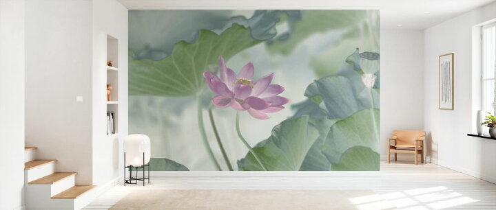 楽天市場 蓮 ハス 花の壁紙 輸入 カスタム壁紙 Photowall Lotus 貼ってはがせるフリース壁紙 不織布 海外取り寄せのため1カ月程度でお届け 代引き 後払い不可 壁紙屋本舗 カベガミヤホンポ