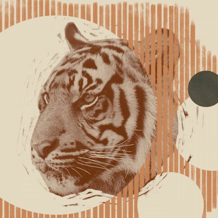 楽天市場 虎 トラ 動物 イラスト コラージュ オレンジの壁紙 輸入 カスタム壁紙 Photowall Pop Art Tiger Ii 貼ってはがせるフリース壁紙 不織布 海外取り寄せのため1カ月程度でお届け 代引き 後払い不可 壁紙 屋本舗 カベガミヤホンポ