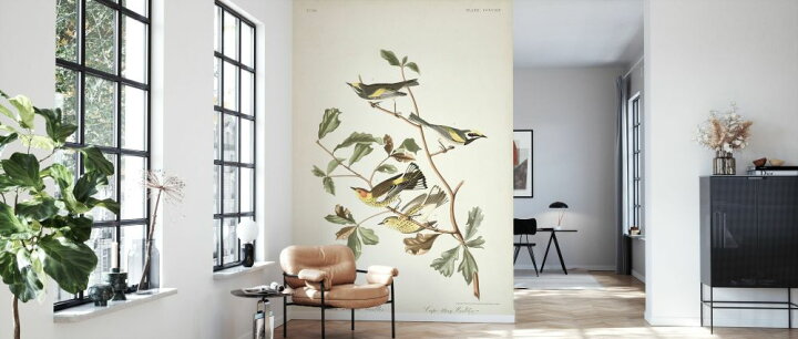 楽天市場 植物 鳥 イラスト ボタニカルアート 博物画 アンティーク ビンテージの壁紙 輸入 カスタム壁紙 Photowall Golden Winged Warbler 貼ってはがせるフリース壁紙 不織布 海外取り寄せのため1カ月程度でお届け 代引き 後払い不可 壁紙屋