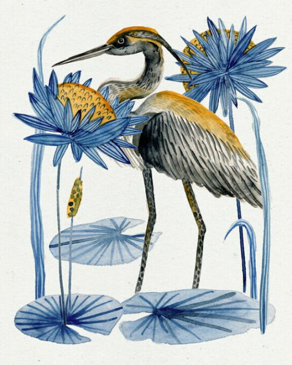 楽天市場 鳥 水鳥 サギ 植物 イラストの壁紙 輸入 カスタム壁紙 Photowall Heron Pond I 貼ってはがせるフリース壁紙 不織布 海外取り寄せのため1カ月程度でお届け 代引き 後払い不可 壁紙屋本舗 カベガミヤホンポ