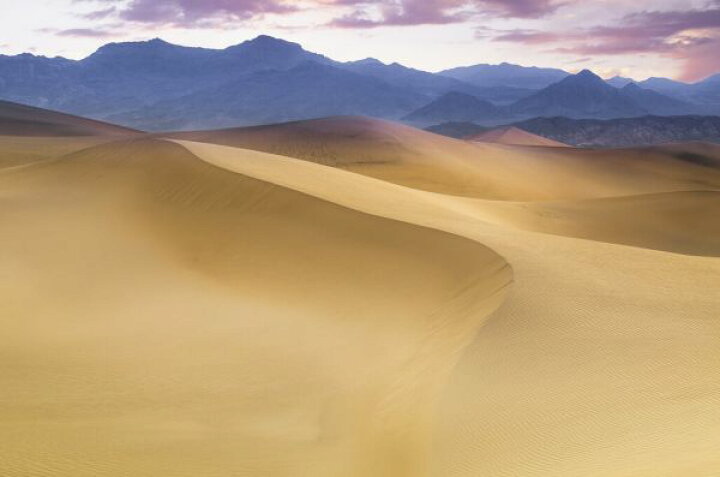 楽天市場 砂漠 砂丘 山 空 自然 風景 景色の壁紙 輸入 カスタム壁紙 Photowall Mesquite Flat Sand Dunes 貼ってはがせるフリース壁紙 不織布 海外取り寄せのため1カ月程度でお届け 代引き 後払い不可 壁紙 屋本舗 カベガミヤホンポ 楽天市場 砂漠 砂丘 山 空 自然 風景 景色の壁紙 輸入 カスタム壁紙 Photowall Mesquite Flat Sand Dunes 貼ってはがせるフリース壁紙 不織布 海外取り寄せのため1カ月程度でお届け 代引き 後払い不可 壁紙 屋本舗 カベガミヤホンポ