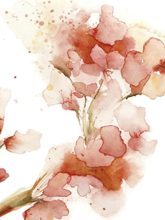 楽天市場 花 水彩画 赤 レッドの壁紙 輸入 カスタム壁紙 Photowall Blossoms 貼ってはがせるフリース壁紙 不織布 海外取り寄せのため1カ月程度でお届け 代引き 後払い不可 壁紙屋本舗 カベガミヤホンポ