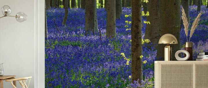 楽天市場 森 ブルーベル 花 花畑 青 ブルーの壁紙 輸入 カスタム壁紙 Photowall Bluebell Flowers 277 貼ってはがせるフリース壁紙 不織布 海外取り寄せのため1カ月程度でお届け 代引き 後払い不可 壁紙屋本舗 カベガミヤホンポ