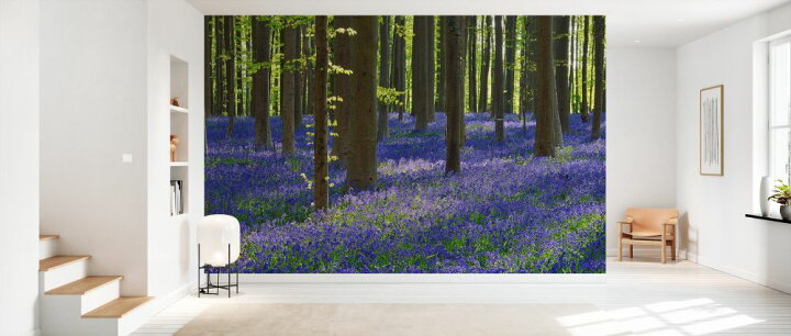 楽天市場 森 ブルーベル 花 花畑 青 ブルーの壁紙 輸入 カスタム壁紙 Photowall Bluebell Flowers 277 貼ってはがせるフリース壁紙 不織布 海外取り寄せのため1カ月程度でお届け 代引き 後払い不可 壁紙屋本舗 カベガミヤホンポ