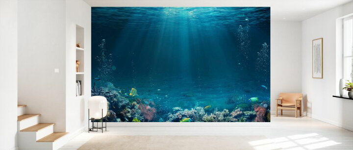 楽天市場 海 海中 魚 サンゴ 光 青 ブルーの壁紙 輸入 カスタム壁紙 Photowall Underwater Scene 278 貼ってはがせるフリース壁紙 不織布 海外取り寄せのため1カ月程度でお届け 代引き 後払い不可 壁紙屋本舗 カベガミヤホンポ 楽天市場 海 海中 魚 サンゴ 光 青 ブルーの壁紙 輸入 カスタム壁紙 Photowall Underwater Scene 278 貼ってはがせるフリース壁紙 不織布 海外取り寄せのため1カ月程度でお届け 代引き 後払い不可 壁紙屋本舗 カベガミヤホンポ
