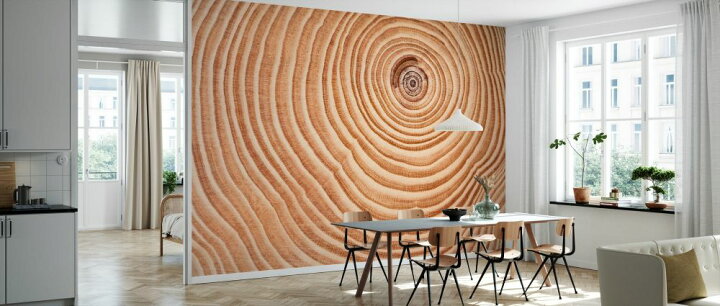 楽天市場 年輪 木の壁紙 輸入 カスタム壁紙 Photowall Rings Of Tree Trunk 272 貼ってはがせるフリース 壁紙 不織布 海外取り寄せのため1カ月程度でお届け 代引き 後払い不可 壁紙屋本舗 カベガミヤホンポ