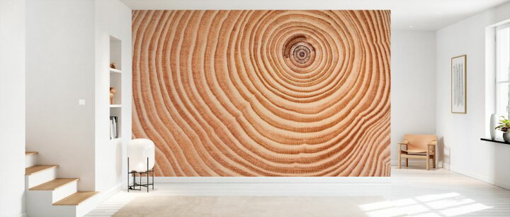 楽天市場 年輪 木の壁紙 輸入 カスタム壁紙 Photowall Rings Of Tree Trunk 272 貼ってはがせるフリース 壁紙 不織布 海外取り寄せのため1カ月程度でお届け 代引き 後払い不可 壁紙屋本舗 カベガミヤホンポ