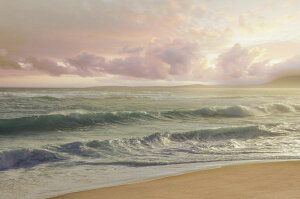 海 壁材 通販 価格比較 価格 Com