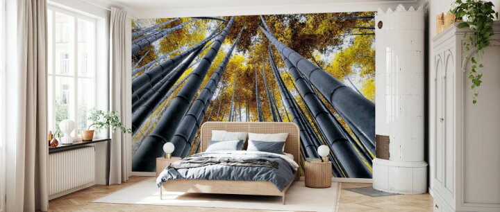 楽天市場 京都 竹林 竹の壁紙 輸入 カスタム壁紙 Photowall Japan Rising Sun Bamboo Forest Kyoto 貼ってはがせるフリース壁紙 不織布 海外取り寄せのため1カ月程度でお届け 代引き 後払い不可 壁紙 屋本舗 カベガミヤホンポ
