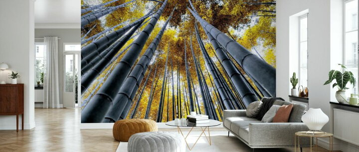 楽天市場 京都 竹林 竹の壁紙 輸入 カスタム壁紙 Photowall Japan Rising Sun Bamboo Forest Kyoto 貼ってはがせるフリース壁紙 不織布 海外取り寄せのため1カ月程度でお届け 代引き 後払い不可 壁紙 屋本舗 カベガミヤホンポ