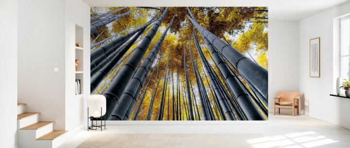 楽天市場 京都 竹林 竹の壁紙 輸入 カスタム壁紙 Photowall Japan Rising Sun Bamboo Forest Kyoto 貼ってはがせるフリース壁紙 不織布 海外取り寄せのため1カ月程度でお届け 代引き 後払い不可 壁紙 屋本舗 カベガミヤホンポ