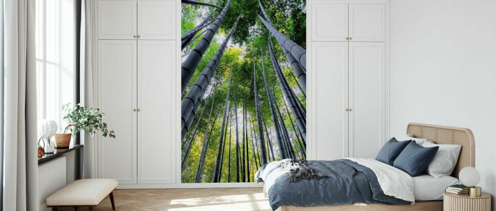 楽天市場 京都 竹林 竹の壁紙 輸入 カスタム壁紙 Photowall Japan Rising Sun Bamboo Forest Kyoto Ii 貼ってはがせるフリース壁紙 不織布 海外取り寄せのため1カ月程度でお届け 代引き 後払い不可 壁紙 屋本舗 カベガミヤホンポ