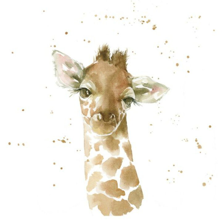 楽天市場 キリン 動物 水彩画の壁紙 輸入 カスタム壁紙 Photowall Baby Giraffe 貼ってはがせるフリース 壁紙 不織布 海外取り寄せのため1カ月程度でお届け 代引き 後払い不可 壁紙屋本舗 カベガミヤホンポ