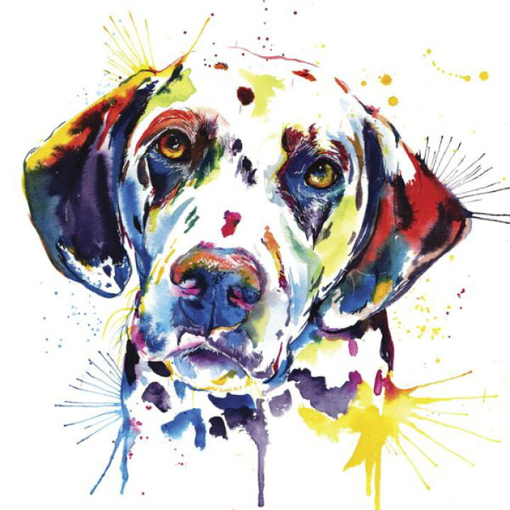 楽天市場 ダルメシアン 犬 水彩画 イラストの壁紙 輸入 カスタム壁紙 Photowall Dalmatian 貼ってはがせるフリース壁紙 不織布 海外取り寄せのため1カ月程度でお届け 代引き 後払い不可 壁紙屋本舗 カベガミヤホンポ