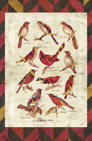 楽天市場 イラスト 鳥 壁紙の通販