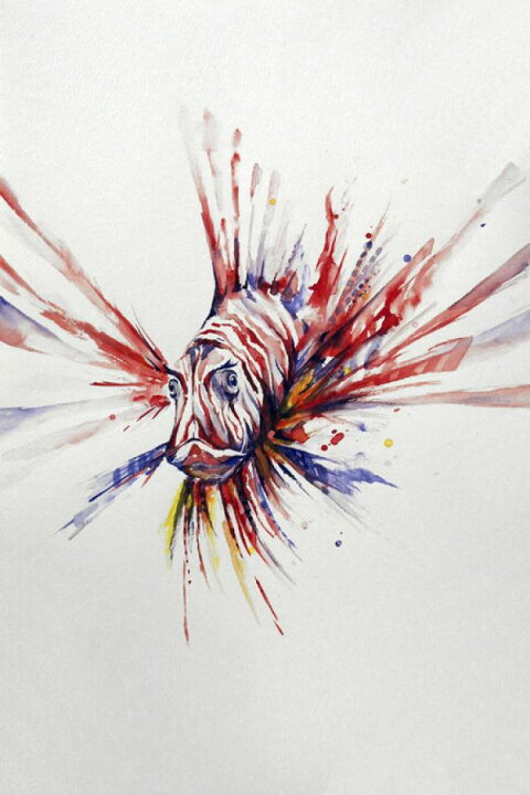 楽天市場 カサゴ 魚 イラスト 水彩画 赤 レッドの壁紙 輸入 カスタム壁紙 Photowall Pterois 貼ってはがせるフリース壁紙 不織布 海外取り寄せのため1カ月程度でお届け 代引き 後払い不可 壁紙屋本舗 カベガミヤホンポ