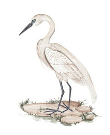 楽天市場 イラスト 鳥 壁紙 壁紙 装飾フィルム インテリア 寝具 収納 の通販