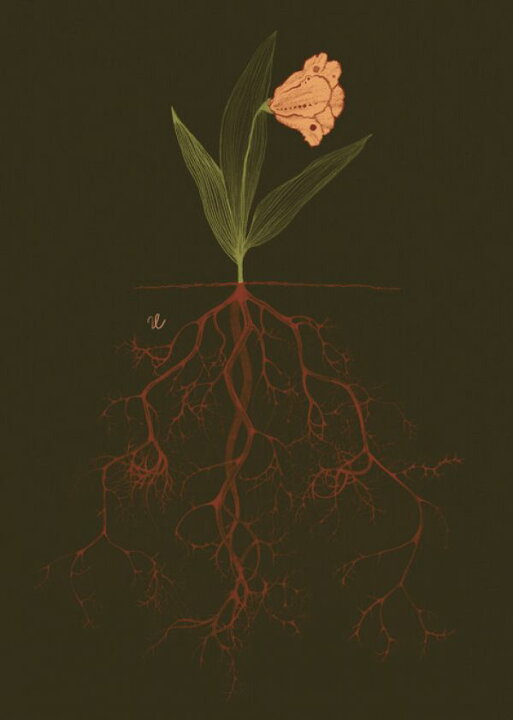 楽天市場 花 イラスト 黒 ブラックの壁紙 輸入 カスタム壁紙 Photowall Something Fragile 貼ってはがせるフリース壁紙 不織布 海外取り寄せのため1カ月程度でお届け 代引き 後払い不可 壁紙屋本舗 カベガミヤホンポ