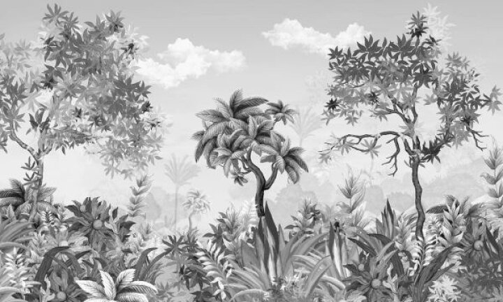 楽天市場 ジャングル 森 トロピカルの壁紙 輸入 カスタム壁紙 Photowall Jungleland Iii 貼ってはがせるフリース壁紙 不織布 海外取り寄せのため1カ月程度でお届け 代引き 後払い不可 壁紙屋本舗 カベガミヤホンポ