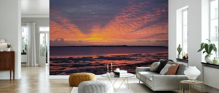 楽天市場 海 水平線 空 雲 夕焼け 紫 パープル 景色 風景の壁紙 輸入 カスタム壁紙 Photowall Sea Horizon 貼ってはがせるフリース壁紙 不織布 海外取寄せ商品 代引き 後払い不可 壁紙屋本舗 カベガミヤホンポ