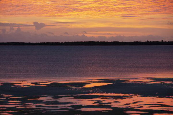 楽天市場 海 水平線 空 雲 夕焼け ピンク 景色 風景の壁紙 輸入 カスタム壁紙 Photowall Sea Horizon Ii 貼ってはがせるフリース壁紙 不織布 海外取寄せ商品 代引き 後払い不可 壁紙屋本舗 カベガミヤホンポ