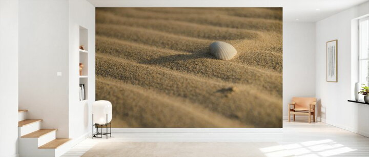 楽天市場 砂浜 砂 貝 シェルの壁紙 輸入 カスタム壁紙 Photowall Sand And Shell 貼ってはがせるフリース壁紙 不織布 海外取寄せ商品 代引き 後払い不可 壁紙屋本舗 カベガミヤホンポ
