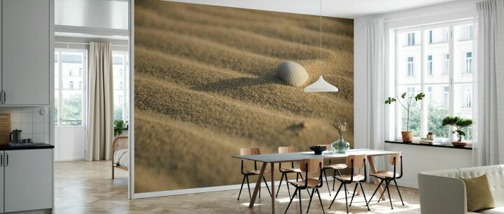 楽天市場 砂浜 砂 貝 シェルの壁紙 輸入 カスタム壁紙 Photowall Sand And Shell 貼ってはがせるフリース壁紙 不織布 海外取寄せ商品 代引き 後払い不可 壁紙屋本舗 カベガミヤホンポ