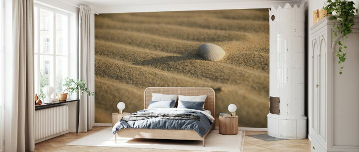 楽天市場 砂浜 砂 貝 シェルの壁紙 輸入 カスタム壁紙 Photowall Sand And Shell 貼ってはがせるフリース壁紙 不織布 海外取寄せ商品 代引き 後払い不可 壁紙屋本舗 カベガミヤホンポ