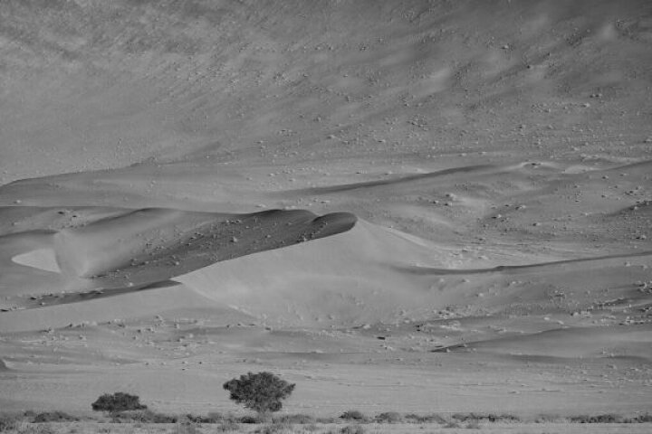 楽天市場 砂漠 砂丘 モノクロ 風景の壁紙 輸入 カスタム壁紙 Photowall Desert Bw 314 貼ってはがせるフリース壁紙 不織布 海外取寄せ商品 代引き 後払い不可 壁紙屋本舗 カベガミヤホンポ 楽天市場 砂漠 砂丘 モノクロ 風景の壁紙 輸入 カスタム壁紙 Photowall Desert Bw 314 貼ってはがせるフリース壁紙 不織布 海外取寄せ商品 代引き 後払い不可 壁紙屋本舗 カベガミヤホンポ