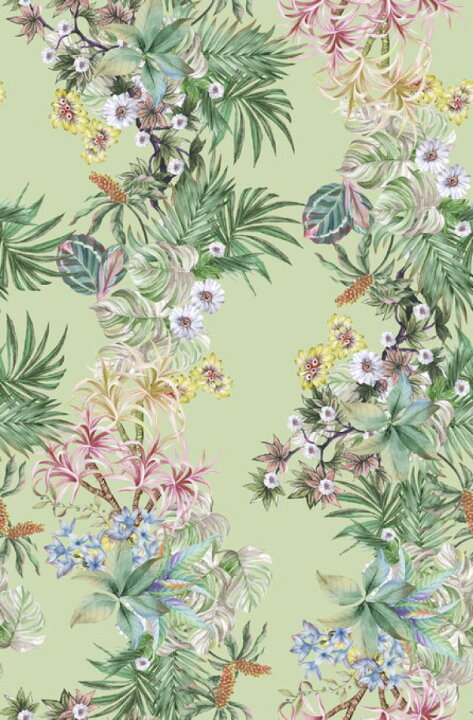 楽天市場 ボタニカル トロピカル 植物 花 緑 グリーンの壁紙 輸入 カスタム壁紙 Photowall Flowering Days Green 貼ってはがせるフリース壁紙 不織布 海外取寄せ商品 代引き 後払い不可 壁紙屋本舗 カベガミヤホンポ 楽天市場 ボタニカル トロピカル 植物 花 緑 グリーンの壁紙 輸入 カスタム壁紙 Photowall Flowering Days Green 貼ってはがせるフリース壁紙 不織布 海外取寄せ商品 代引き 後払い不可 壁紙屋本舗 カベガミヤホンポ