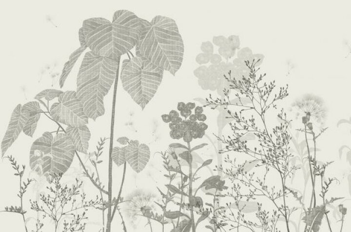 楽天市場 植物 花 野花 イラスト ベージュ アイボリーの壁紙 輸入 カスタム壁紙 Photowall Lush Flora Beige 貼ってはがせるフリース壁紙 不織布 海外取寄せ商品 代引き 後払い不可 壁紙屋本舗 カベガミヤホンポ