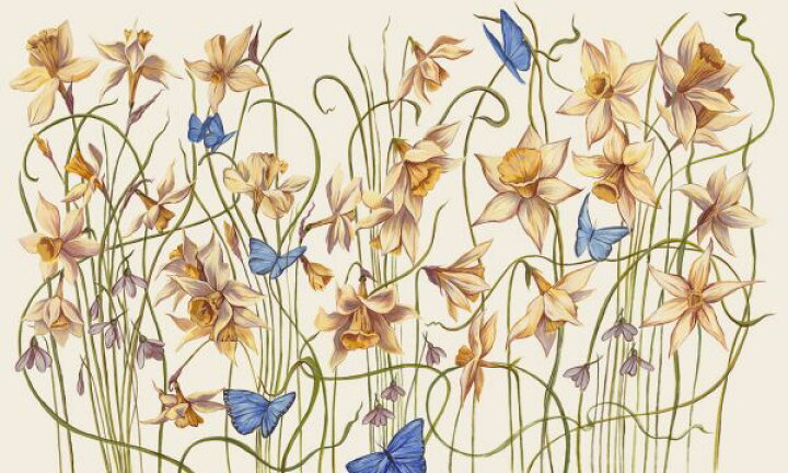 楽天市場 スイセン 花 蝶 ちょうちょ イラストの壁紙 輸入 カスタム壁紙 Photowall Narcissus 貼ってはがせるフリース壁紙 不織布 海外取寄せ商品 代引き 後払い不可 壁紙屋本舗 カベガミヤホンポ