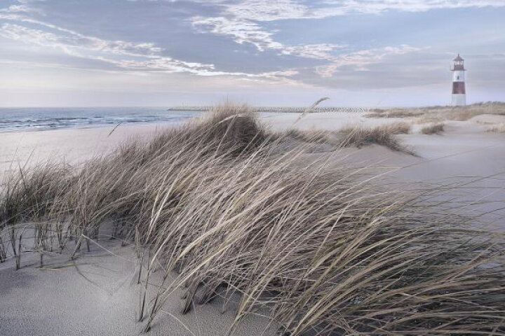 楽天市場 草 灯台 空 雲の壁紙 輸入 カスタム壁紙 Photowall Wintergrass Series 貼ってはがせるフリース壁紙 不織布 海外取寄せ商品 代引き 後払い不可 壁紙屋本舗 カベガミヤホンポ
