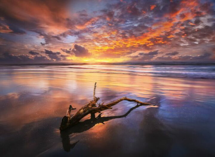 楽天市場 海 空 雲 夕焼け 流木の壁紙 輸入 カスタム壁紙 Photowall Appreciation 貼ってはがせるフリース壁紙 不織布 海外取寄せ商品 代引き 後払い不可 壁紙屋本舗 カベガミヤホンポ 楽天市場 海 空 雲 夕焼け 流木の壁紙 輸入 カスタム壁紙 Photowall Appreciation 貼ってはがせるフリース壁紙 不織布 海外取寄せ商品 代引き 後払い不可 壁紙屋本舗 カベガミヤホンポ