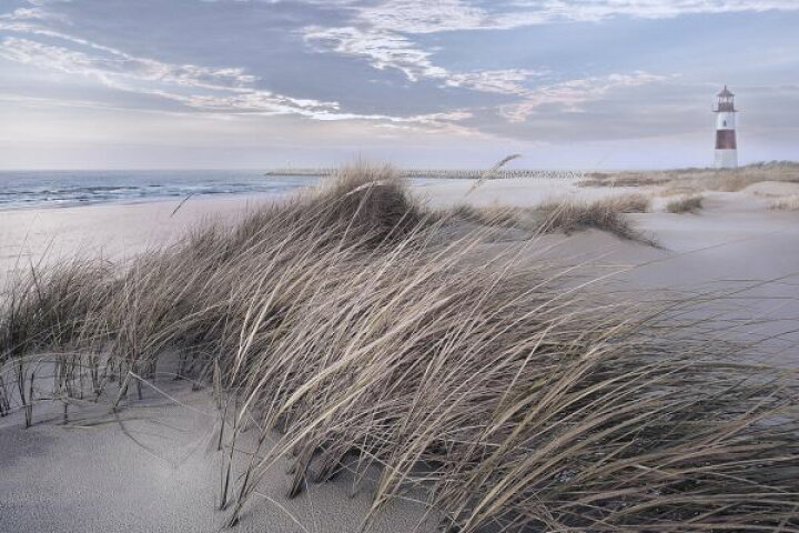 楽天市場 草 灯台 空 雲の壁紙 輸入 カスタム壁紙 Photowall Winter Wind 貼ってはがせるフリース壁紙 不織布 海外取寄せ商品 代引き 後払い不可 壁紙屋本舗 カベガミヤホンポ