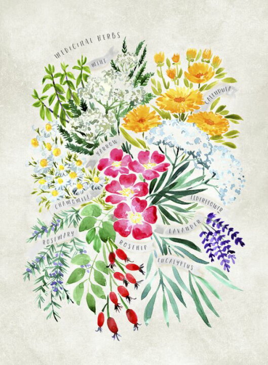 楽天市場 花 水彩画 イラスト オレンジの壁紙 輸入 カスタム壁紙 Photowall Floral 貼ってはがせるフリース壁紙 不織布 海外取寄せ商品 代引き 後払い不可 壁紙屋本舗 カベガミヤホンポ 楽天市場 花 水彩画 イラスト オレンジの壁紙 輸入 カスタム壁紙 Photowall Floral 貼ってはがせるフリース壁紙 不織布 海外取寄せ商品 代引き 後払い不可 壁紙屋本舗 カベガミヤホンポ