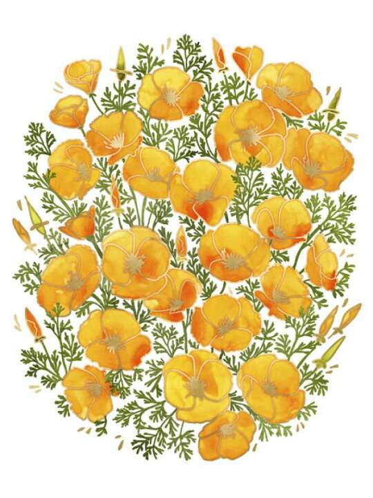楽天市場 ポピー 花 イラスト オレンジの壁紙 輸入 カスタム壁紙 Photowall California Poppy 貼ってはがせるフリース壁紙 不織布 海外取寄せ商品 代引き 後払い不可 壁紙屋本舗 カベガミヤホンポ 楽天市場 ポピー 花 イラスト オレンジの壁紙 輸入 カスタム壁紙 Photowall California Poppy 貼ってはがせるフリース壁紙 不織布 海外取寄せ商品 代引き 後払い不可 壁紙屋本舗 カベガミヤホンポ