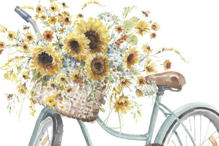 楽天市場 花 ひまわり 自転車 イラスト 水彩画 黄色 イエローの壁紙 輸入 カスタム壁紙 Photowall Sunflowers Forever Ii 339 貼ってはがせるフリース壁紙 不織布 海外取寄せ商品 代引き 後払い不可 壁紙 屋本舗 カベガミヤホンポ 楽天市場 花 ひまわり 自転車 イラスト 水彩画 黄色 イエローの壁紙 輸入 カスタム壁紙 Photowall Sunflowers Forever Ii 339 貼ってはがせるフリース壁紙 不織布 海外取寄せ商品 代引き 後払い不可 壁紙 屋本舗 カベガミヤホンポ