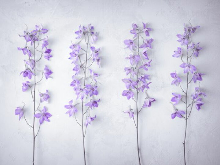 楽天市場 デルフィニウム 花 紫 パープルの壁紙 輸入 カスタム壁紙 Photowall Delphiniums Flowers 貼ってはがせるフリース壁紙 不織布 海外取寄せ商品 代引き 後払い不可 壁紙屋本舗 カベガミヤホンポ