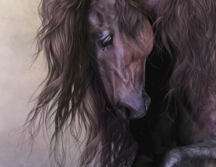 楽天市場 馬 動物 イラスト 黒 ブラックの壁紙 輸入 カスタム壁紙 Photowall Equus 貼ってはがせるフリース壁紙 不織布 海外取寄せ商品 代引き 後払い不可 壁紙屋本舗 カベガミヤホンポ
