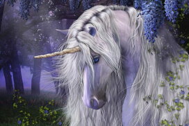 楽天市場 カスタム壁紙カテゴリ一覧 カスタム壁紙 ファンタジーの壁紙 壁紙屋本舗 カベガミヤホンポ