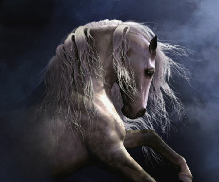 楽天市場 馬 白馬 動物 イラストの壁紙 輸入 カスタム壁紙 Photowall Silver Ghost 貼ってはがせるフリース壁紙 不織布 海外取寄せ商品 代引き 後払い不可 壁紙屋本舗 カベガミヤホンポ 楽天市場 馬 白馬 動物 イラストの壁紙 輸入 カスタム壁紙 Photowall Silver Ghost 貼ってはがせるフリース壁紙 不織布 海外取寄せ商品 代引き 後払い不可 壁紙屋本舗 カベガミヤホンポ