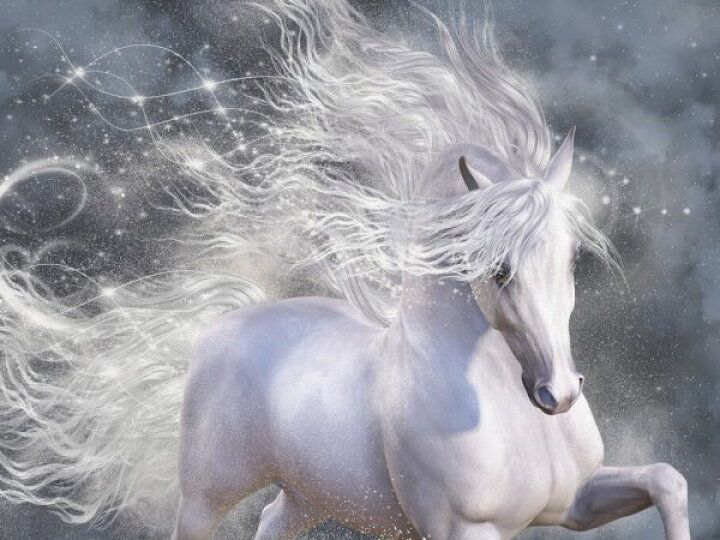 楽天市場 馬 白馬 動物 イラストの壁紙 輸入 カスタム壁紙 Photowall Stardust 貼ってはがせるフリース壁紙 不織布 海外取寄せ商品 代引き 後払い不可 壁紙屋本舗 カベガミヤホンポ