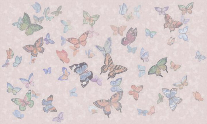 楽天市場 蝶 バタフライ ピンク イラストの壁紙 輸入 カスタム壁紙 Photowall Butterfly Wings Pink 貼ってはがせるフリース壁紙 不織布 海外取寄せ商品 代引き 後払い不可 壁紙屋本舗 カベガミヤホンポ 楽天市場 蝶 バタフライ ピンク イラストの壁紙 輸入 カスタム壁紙 Photowall Butterfly Wings Pink 貼ってはがせるフリース壁紙 不織布 海外取寄せ商品 代引き 後払い不可 壁紙屋本舗 カベガミヤホンポ