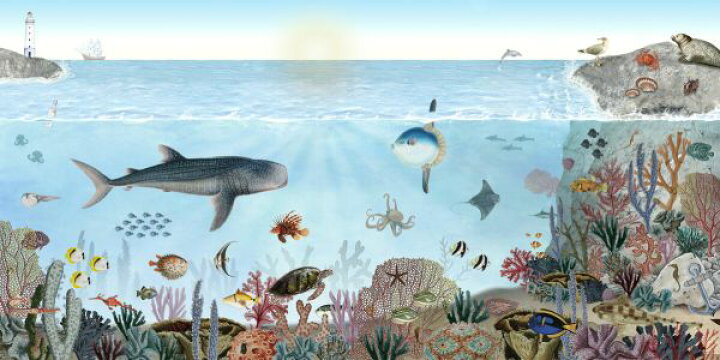 楽天市場 海 魚 クジラ サンゴ イラストの壁紙 輸入 カスタム壁紙 Photowall Ocean Lookbook E 貼ってはがせるフリース壁紙 不織布 海外取寄せ商品 代引き 後払い不可 壁紙屋本舗 カベガミヤホンポ 楽天市場 海 魚 クジラ サンゴ イラストの壁紙 輸入 カスタム壁紙 Photowall Ocean Lookbook E 貼ってはがせるフリース壁紙 不織布 海外取寄せ商品 代引き 後払い不可 壁紙屋本舗 カベガミヤホンポ