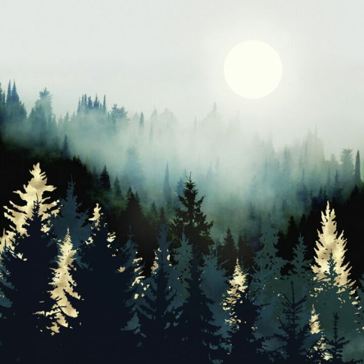 楽天市場 森 空 霧 イラスト 緑 グリーンの壁紙 輸入 カスタム壁紙 Photowall Forest Glow 貼ってはがせるフリース壁紙 不織布 海外取寄せ商品 代引き 後払い不可 壁紙屋本舗 カベガミヤホンポ 楽天市場 森 空 霧 イラスト 緑 グリーンの壁紙 輸入 カスタム壁紙 Photowall Forest Glow 貼ってはがせるフリース壁紙 不織布 海外取寄せ商品 代引き 後払い不可 壁紙屋本舗 カベガミヤホンポ
