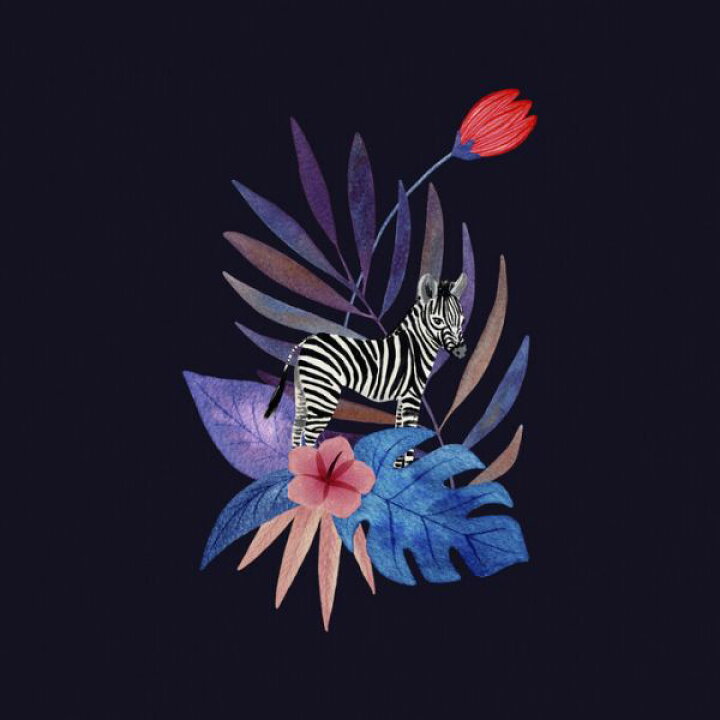 楽天市場 シマウマ 動物 葉 植物 モンステラ ボタニカル トロピカル イラスト 紺 ネイビーの壁紙 輸入 カスタム壁紙 Photowall Tropical Zebra Navy 貼ってはがせるフリース壁紙 不織布 海外取寄せ商品 代引き 後払い不可 壁紙屋本舗 カベガミ