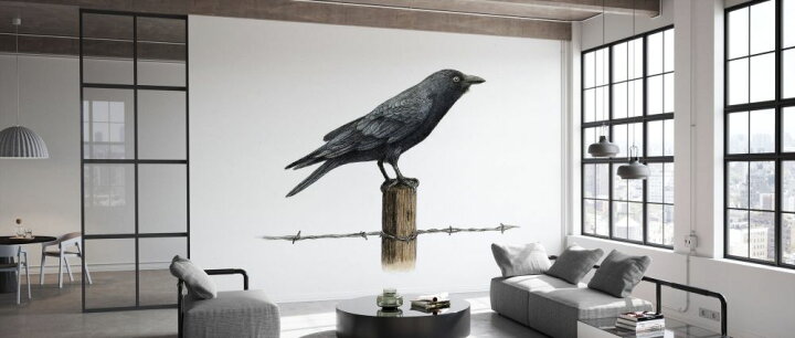 楽天市場 カラス 鳥 イラスト 黒 ブラックの壁紙 輸入 カスタム壁紙 Photowall Country Crow 貼ってはがせるフリース壁紙 不織布 海外取寄せ商品 代引き 後払い不可 壁紙屋本舗 カベガミヤホンポ