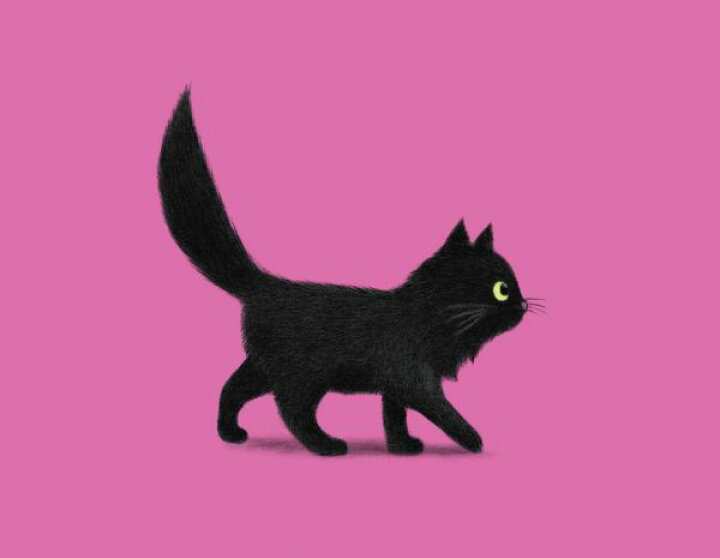 楽天市場 猫 ネコ 黒猫 イラスト キッズ 子ども部屋 ピンクの壁紙 輸入 カスタム壁紙 Photowall Creeping Cat Pink 貼ってはがせるフリース壁紙 不織布 海外取寄せ商品 代引き 後払い不可 壁紙屋本舗 カベガミヤホンポ 楽天市場 猫 ネコ 黒猫 イラスト キッズ 子ども部屋 ピンクの壁紙 輸入 カスタム壁紙 Photowall Creeping Cat Pink 貼ってはがせるフリース壁紙 不織布 海外取寄せ商品 代引き 後払い不可 壁紙屋本舗 カベガミヤホンポ